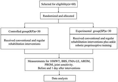 Influence of proprioceptive training based on ankle-foot robot on improving lower limbs function in patients after a stroke